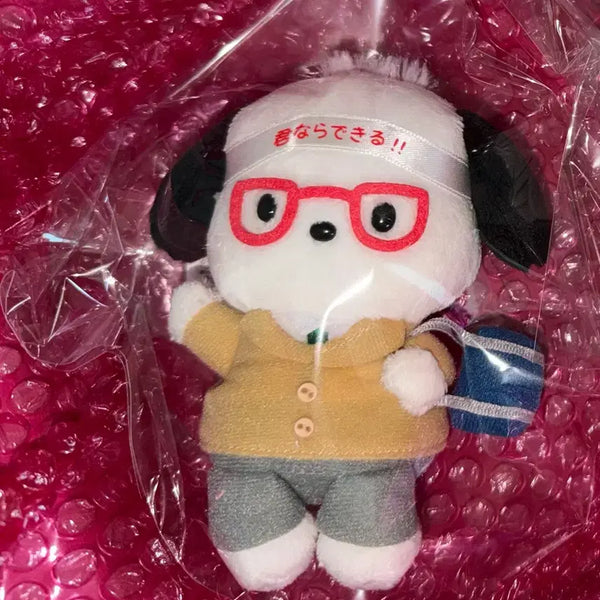[BUNJANG] Sanrio Pochacco Mascot Mascot Keyring / 합격 포챠코 포차코 마스코트 키링 합격키티