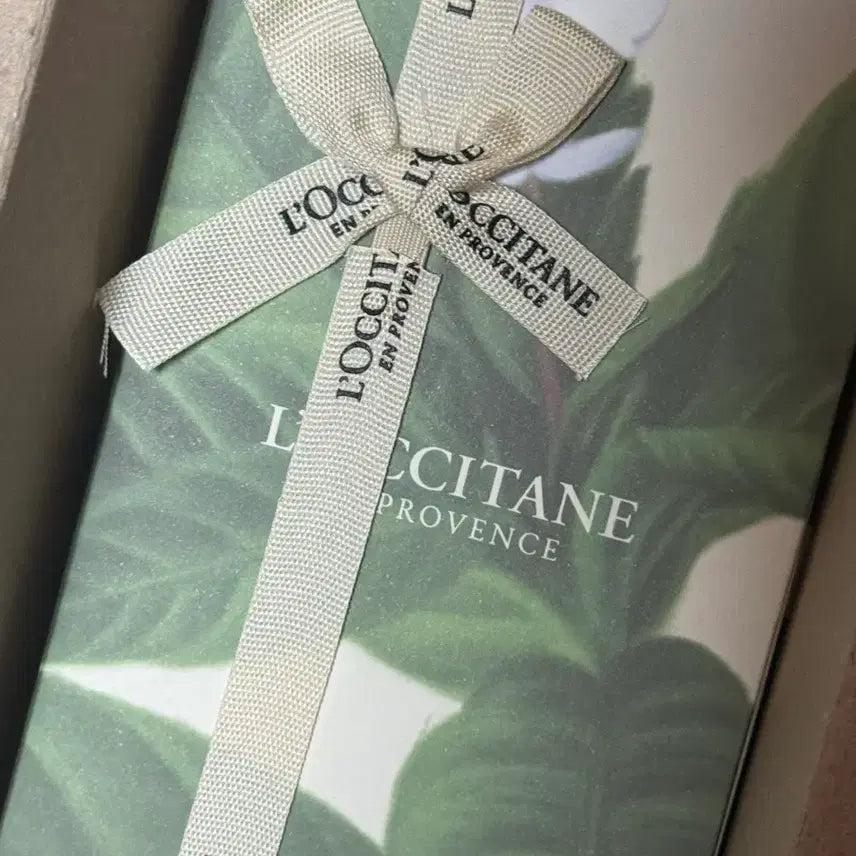 [BUNJANG] L'Occitane Perfumed Shower Gel - Verbena / 록시땅 퍼퓸드 샤워젤