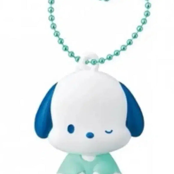 [BUNJANG] Sanrio Pochacco Flat Keyring Gacha / 산리오 포차코 납작 키링 가챠