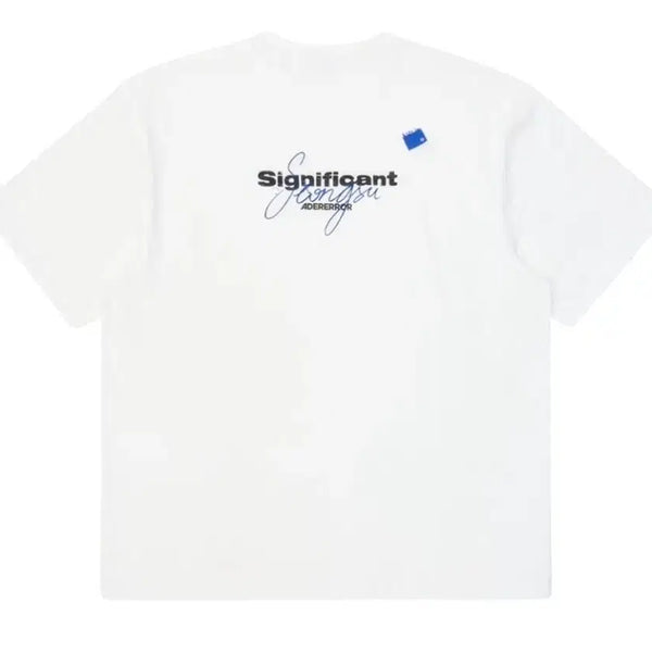 [BUNJANG] Ader Error Significant Seongsu Ikul T-Shirt / [L] 아더에러 시그니피컨트 성수 익클