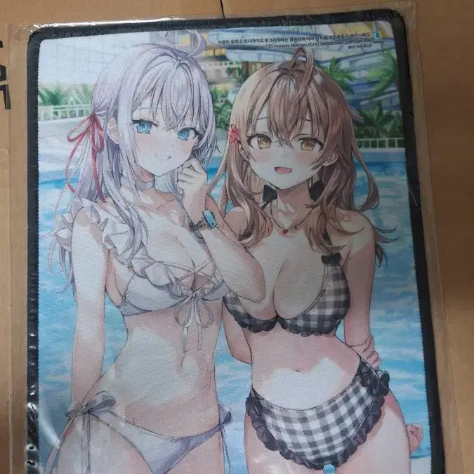 [BUNJANG] Ariayang Mousepad / 가끔씩 툭하고 러시아어로 아랴양 마우스 패드