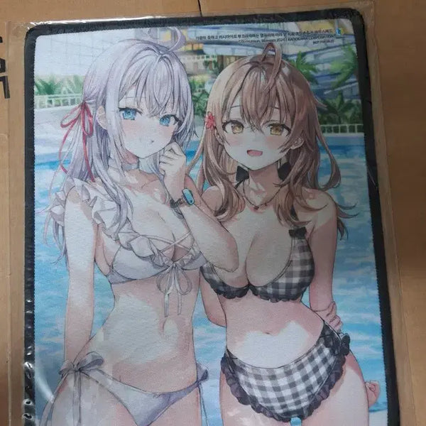 [BUNJANG] Ariayang Mousepad / 가끔씩 툭하고 러시아어로 아랴양 마우스 패드