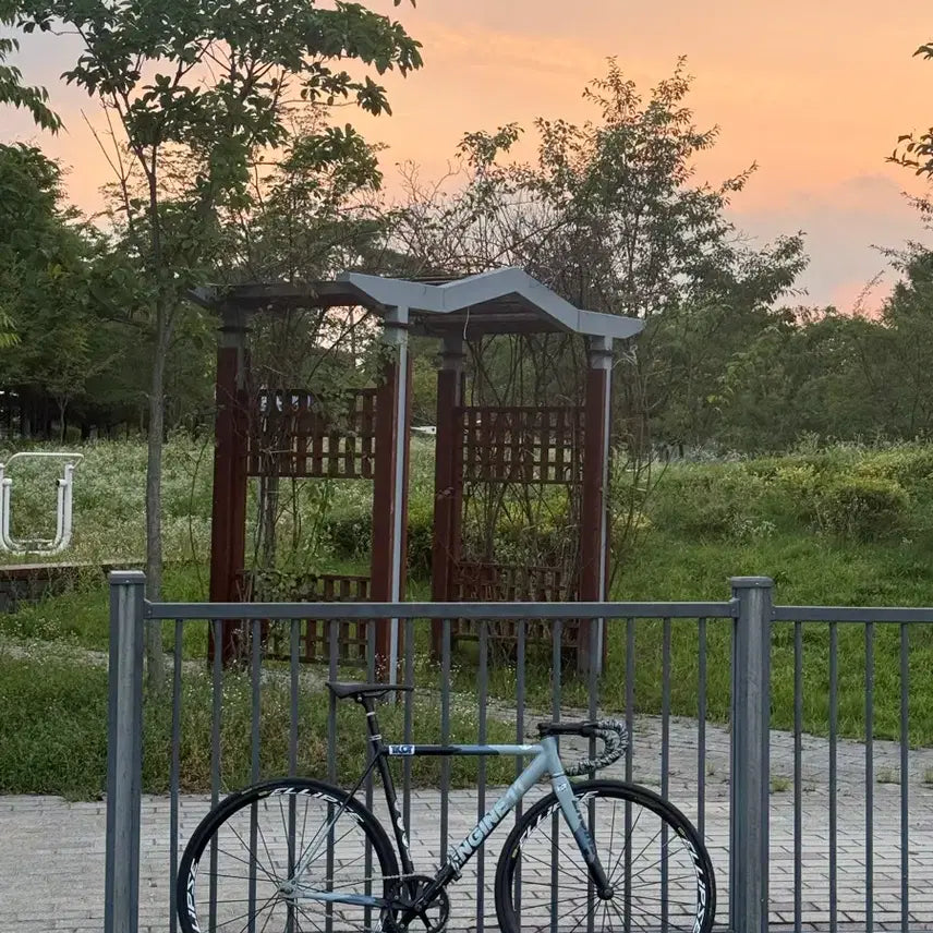 [BUNJANG] Mavic Ellipse Wheelset 2024 / 마빅 엘립스 휠셋 2024년식