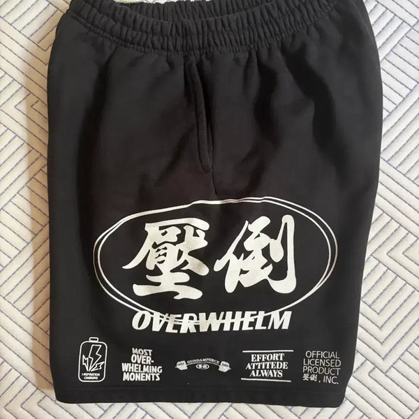 [BUNJANG] Apdoh Old Model Bermuda Shorts / 압도 구형 버뮤다 바지