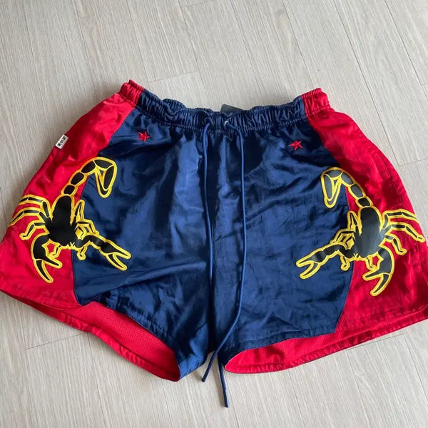 [BUNJANG] Nike NSW Scorpion Shorts L / 나이키 NSW 전갈 스콜피온 쇼츠 중고 L 사이즈