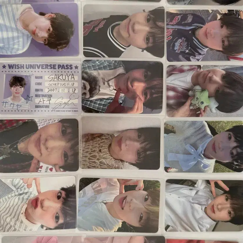[BUNJANG] NCT WISH Photocard (All Members, Rare) / 엔시티위시 포토카드 (전멤보유,희귀많음)