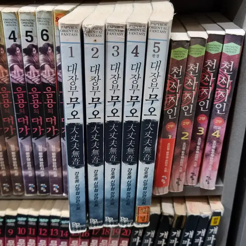 [BUNJANG] Daejangbu Muo: Volumes 1-5 - Gangho Style New Wuxia Novel / 대장부무오 1-5 완 강호풍 신무협 소설
