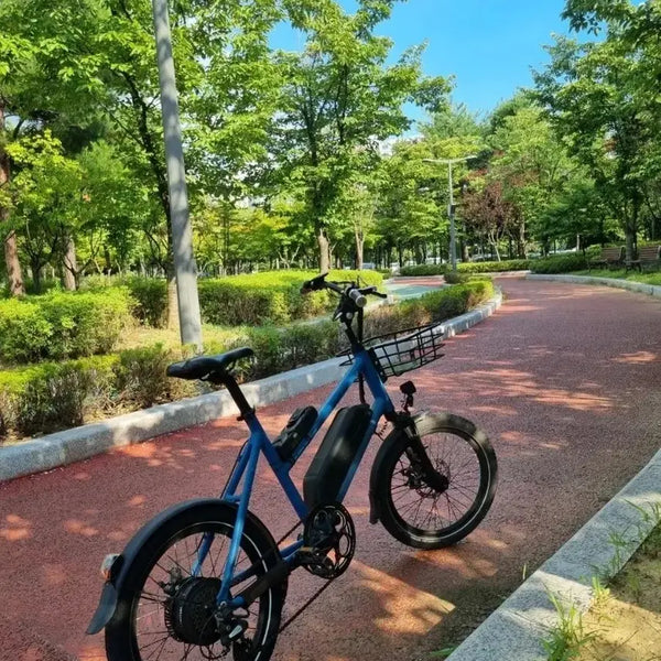 [BUNJANG] A2B Karv 48 Electric Bicycle Ocean Blue / 미니벨로 전기자전거 A2B 카브48 Karv 오션블루