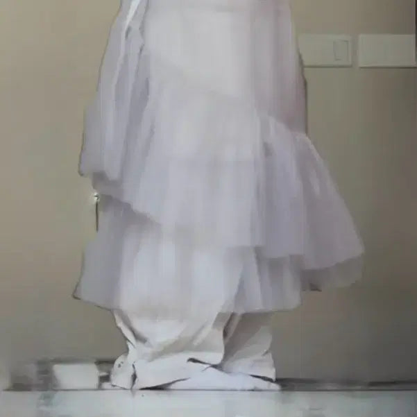 [BUNJANG] Vintage See-through Chiffon Lined Long Skirt / 착샷O)빈티지 시스루 쉬폰 라인 롱 스커트