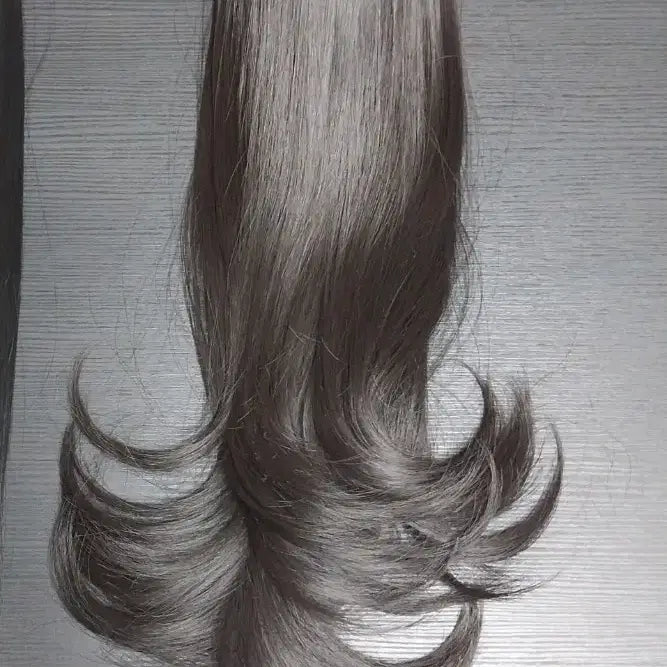 [BUNJANG] Clip-on Hair Weft (Dark Brown) with Free Wig / 새거)집게형 달비 판매해요(서비스 가발 드림)