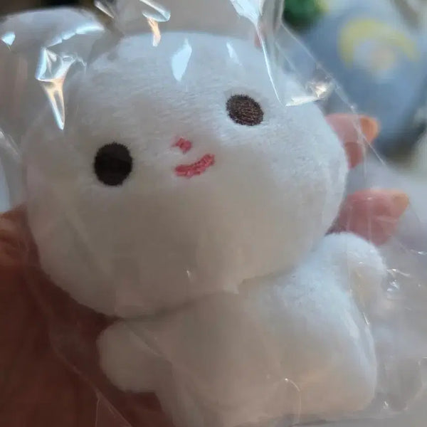 [BUNJANG] NCT Doyoung NCT 127 Plush Doll / 엔시티 도영 nct 127 nct127 일이칠 엔시티 인형 무행이