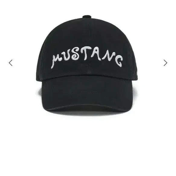 [BUNJANG] SUNBUN PROJECT Mustang Ball Cap Black / 선번프로젝트 머스탱 볼캡 블랙 새상품
