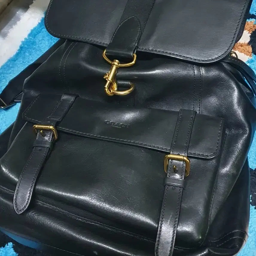 [BUNJANG] Coach Backpack / 코치백팩
