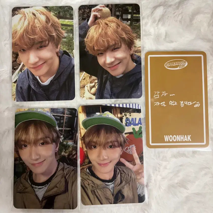 [BUNJANG] BOYNEXTDOOR 2026 Season's Greetings Unhak Bundle Set Photocard / 보넥도 2026 시즌그리팅 운학 포카 일괄 양도합니다