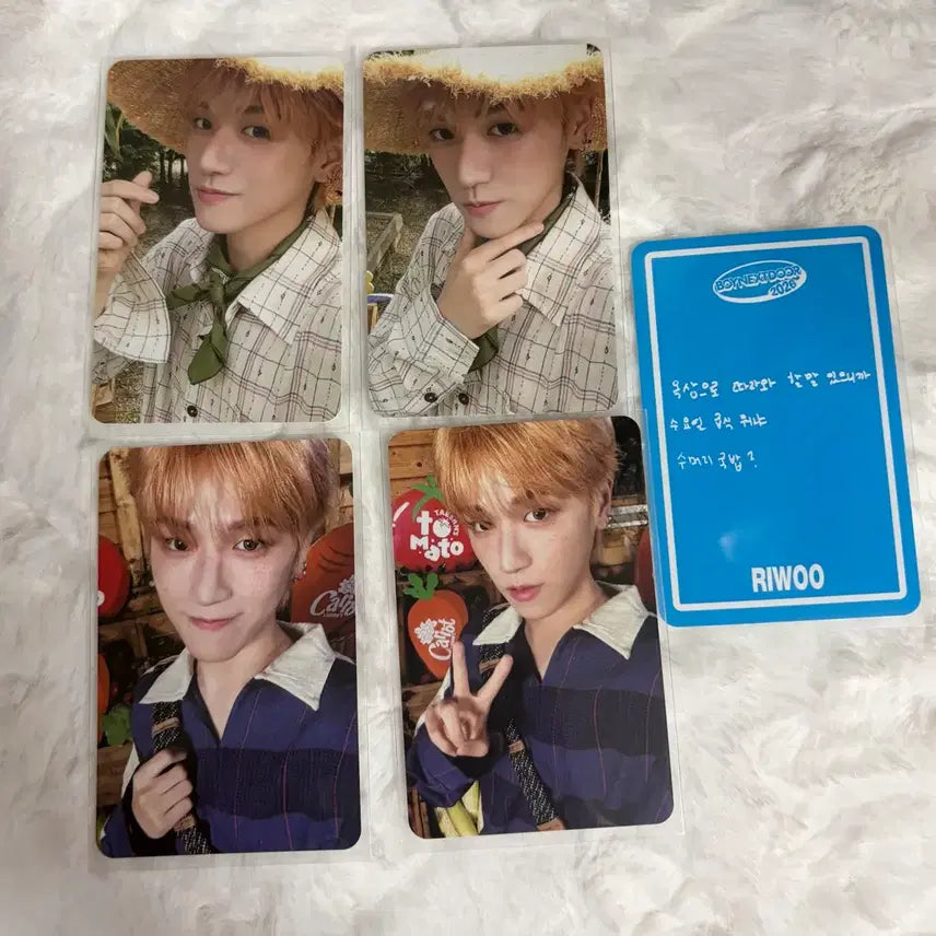 [BUNJANG] BOYNEXTDOOR 2026 Season's Greetings Rio Bundle Set Photocard / 보넥도 2026 시즌그리팅 리우 포카 일괄 양도합니다