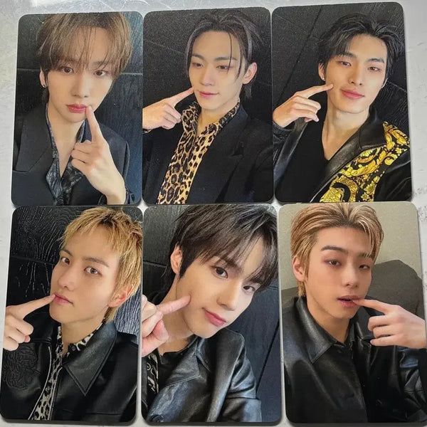 [BUNJANG] 82MAJOR Etuume Bebeom Photocard / 82MAJOR 에투메 비범 포카