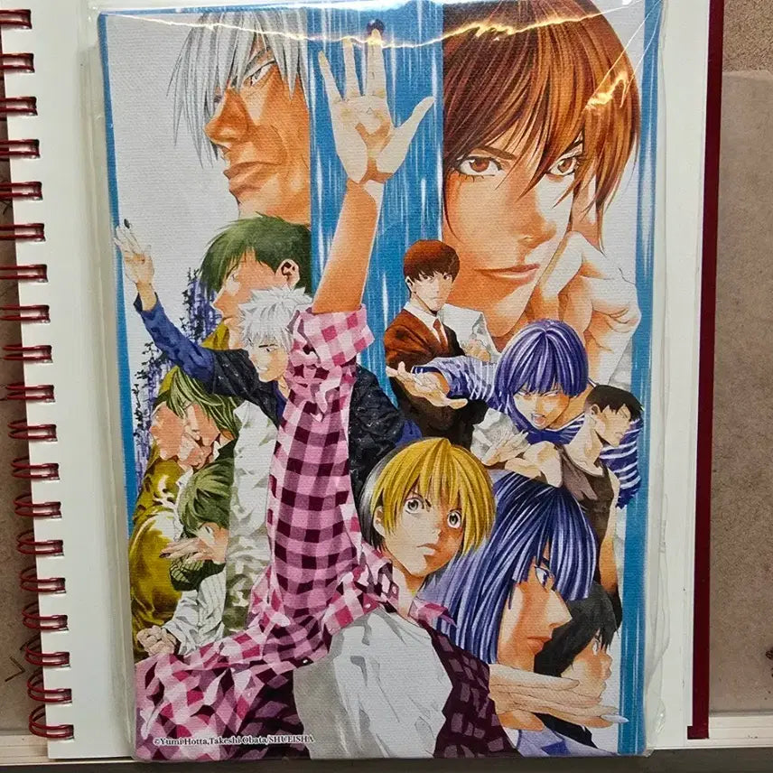 [BUNJANG] Hikaru no Go Ghost Battle King Canvas / 히카루의 바둑 고스트 바둑왕 캔버스