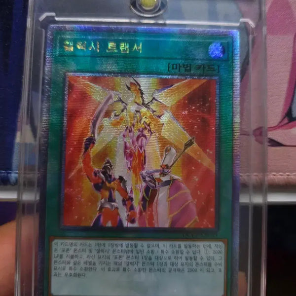 [BUNJANG] Galaxy Transer / 갤럭시 트랜서