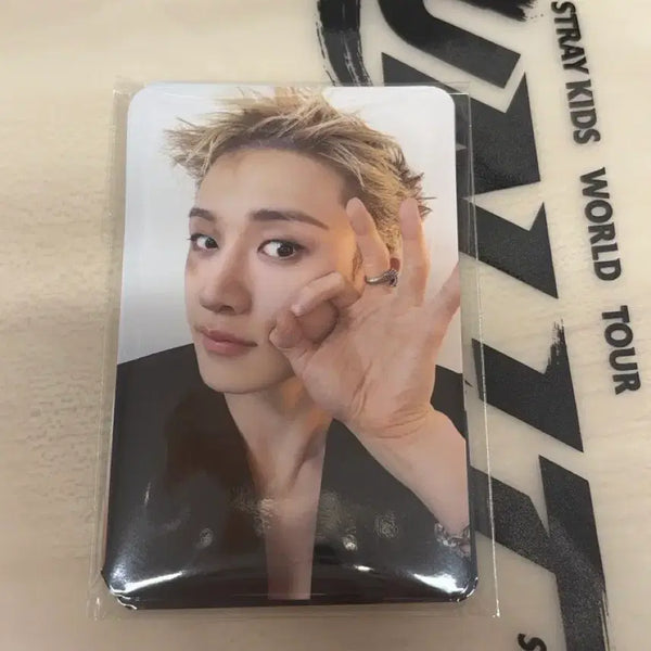 [BUNJANG] Stray Kids SKZOO Concert Entrance Gift Photocard Bundle Set OT8 / 스키즈 스트레이키즈 막막콘 콘서트 입장 기프트 포토카드 ot8 일괄 양도