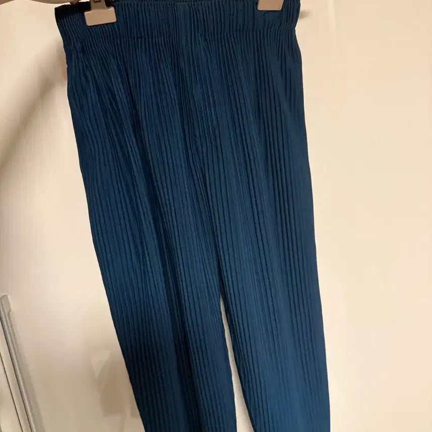 [BUNJANG] Homme Plissé Issey Miyake Pants Size 1 / 옴므플리세 바지 사이즈1