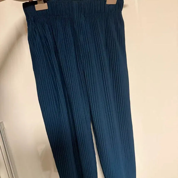 [BUNJANG] Homme Plissé Issey Miyake Pants Size 1 / 옴므플리세 바지 사이즈1