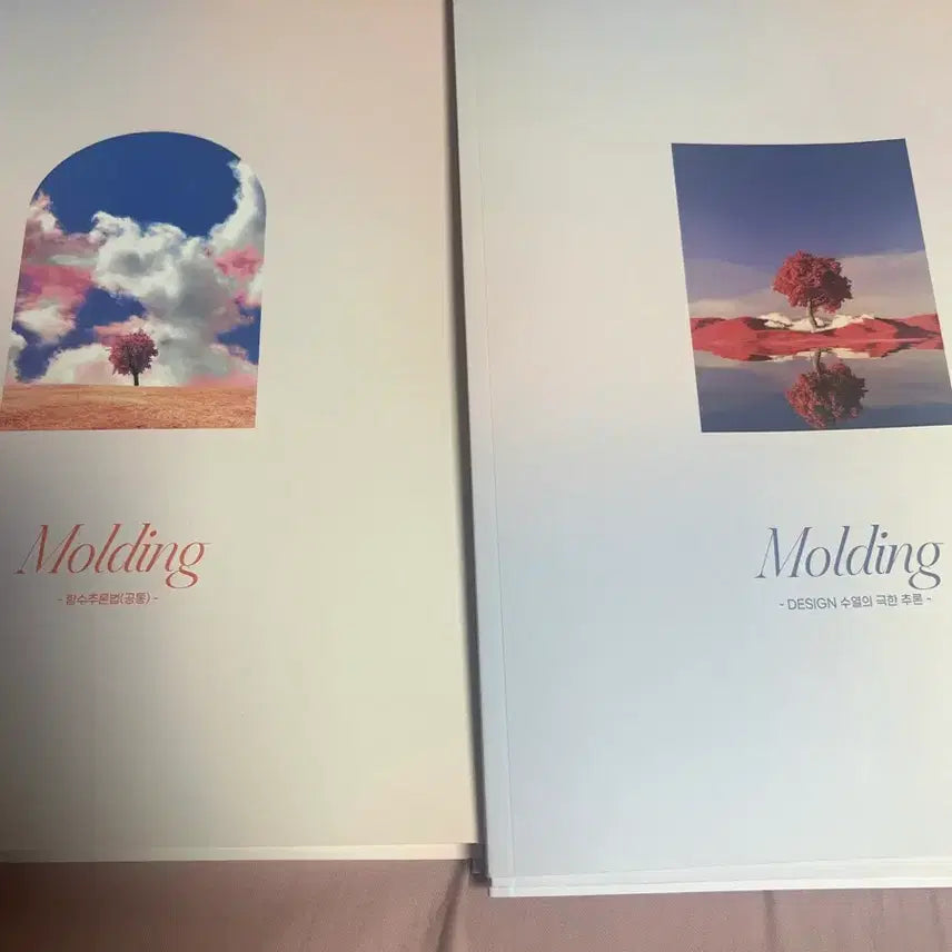 [BUNJANG] Sidae N 2027 Choi Ji-wook Calculus Weekly Study Guide / 시대인재 2027 최지욱t molding 주간지
