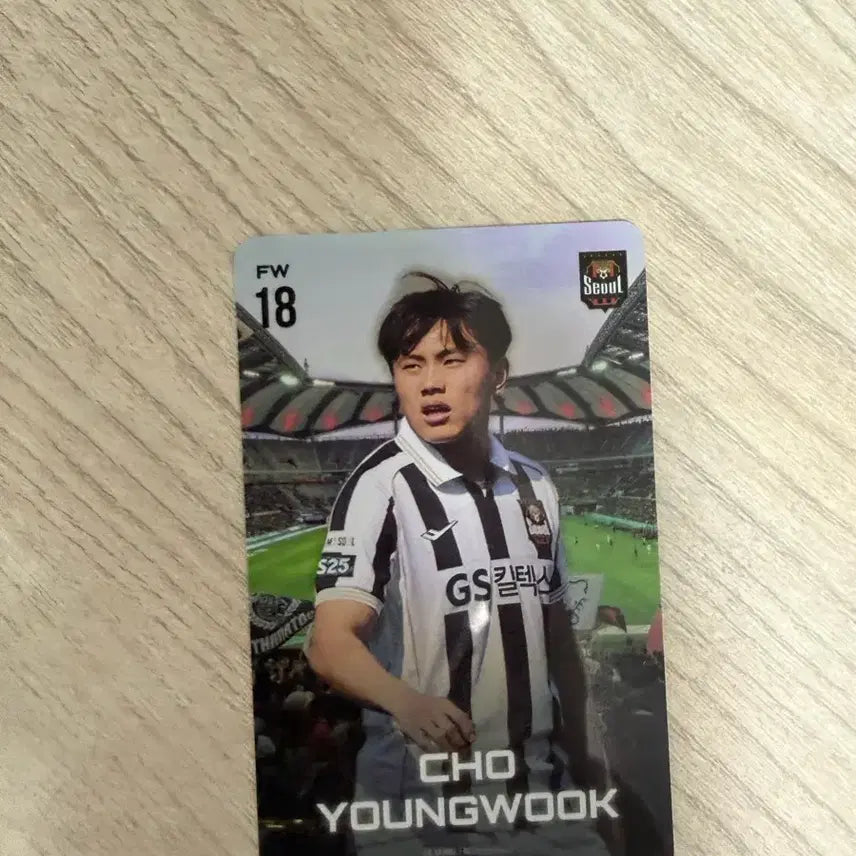 [BUNJANG] FC Seoul Jo Young-wook Special Card / FC서울 팬카드 조영욱 스페셜