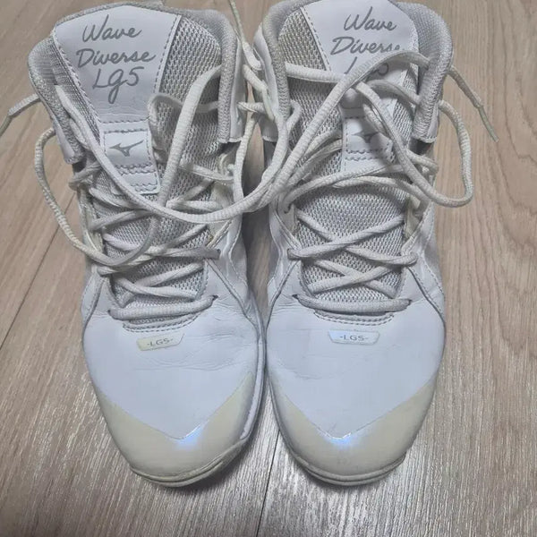 [BUNJANG] Mizuno Indoor Boxing Shoes / 나이키 인도어화(복싱화)팝니다