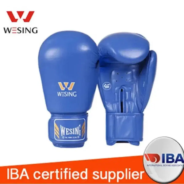 [BUNJANG] WISHING Boxing Gloves 14 oz Blue / 위싱 복싱 글러브 14 oz