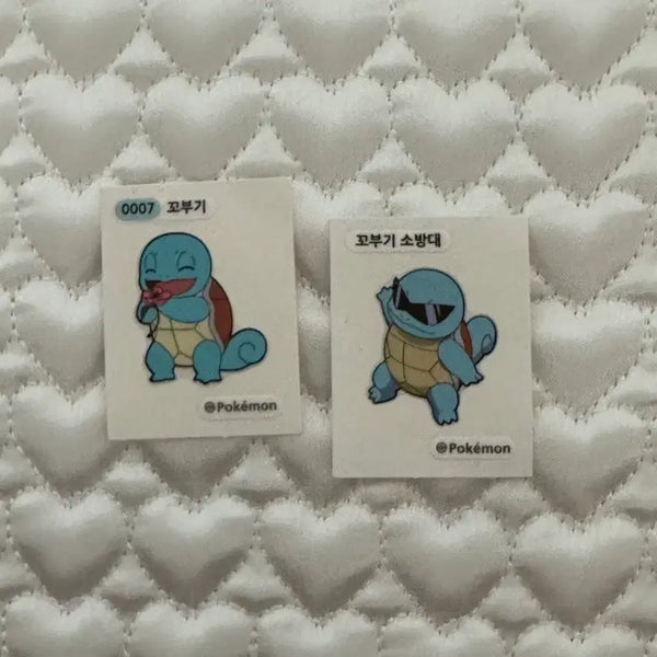 [BUNJANG] Pokemon Squirtle Flower Sticker / 포켓몬 꽃을 든 꼬부기 띠부씰