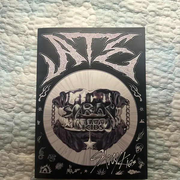 [BUNJANG] Stray Kids ATE Album I.N Photocard / 스키즈 ATE앨범