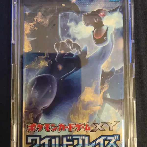 [BUNJANG] Pokemon Card XY Wild Blaze Ancient Pack (Japanese) / 포켓몬카드 XY 와일드블레이즈 일판 고대팩