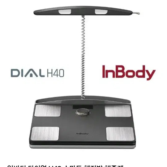 [BUNJANG] InBody H40Nwi Smart Body Composition Scale / 인바디H40Nwi
