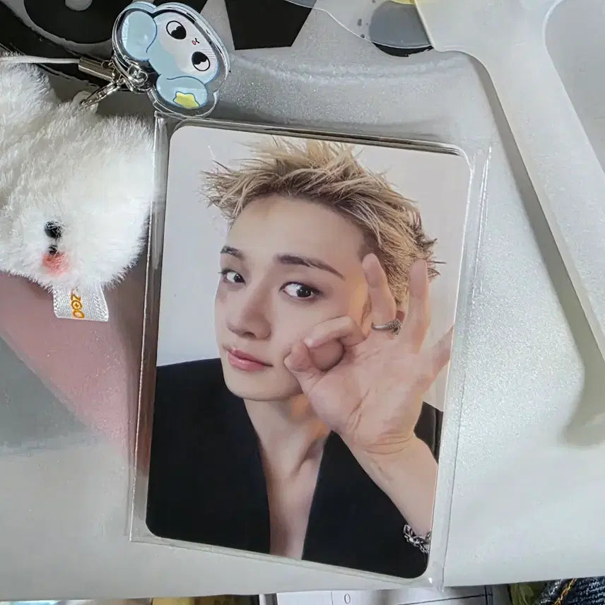 [BUNJANG] Stray Kids Concert Photocard Set / 8/2 막막콘 포카세트만 스트레이키즈 콘서트