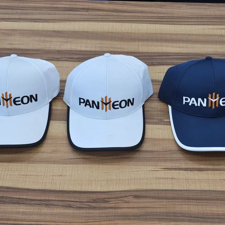 [BUNJANG] Pantheon Baseball Cap (Set of 3) / (새상품) 판테온 야구 모자 3종 프리사이즈