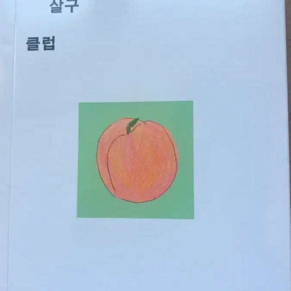 [BUNJANG] Hanro Lo Grapefruit Apricot Club Book With Limited Edition Bookmark / 자몽 살구 클럽 한로로(1000개 한정 책갈피 포함)