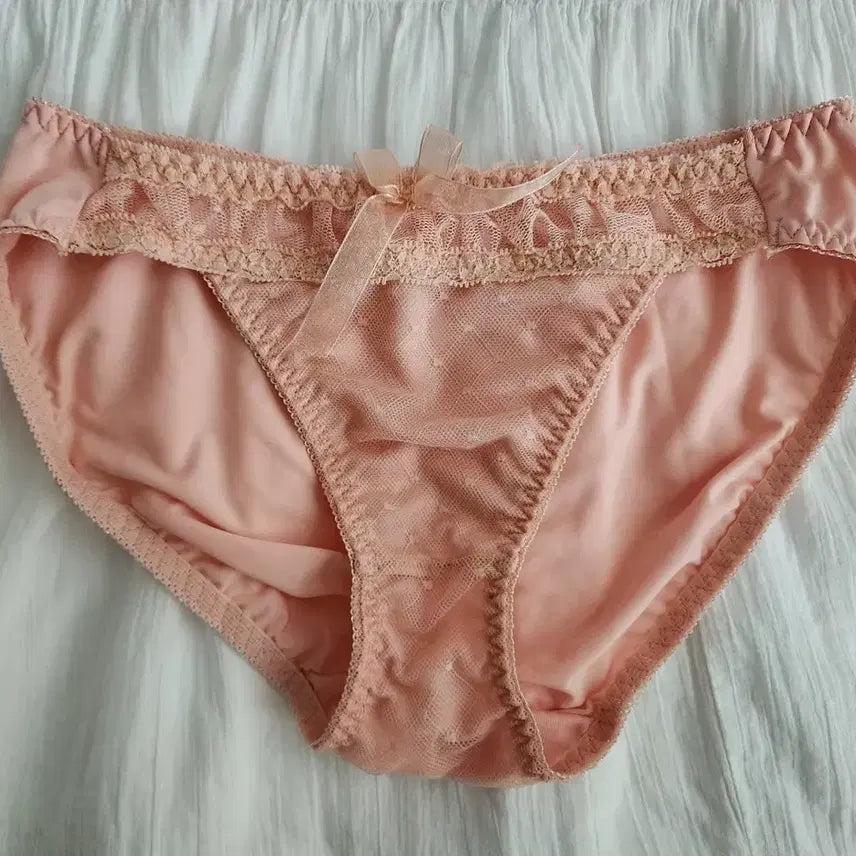 [BUNJANG] Eblin Women's Triangle Panties / (중고) 러블리 여성 삼각 팬티-에블린