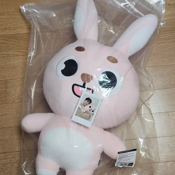 [BUNJANG] DAY6 GIANT DENIMALS PIL Photocard / 데이식스 자이언트 데니멀즈 필 PIL