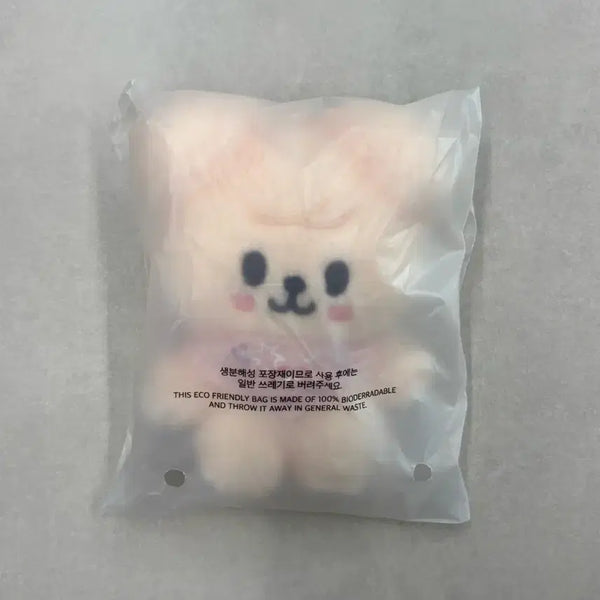 [BUNJANG] Stray Kids SKZOO Seungmin PERRM 10cm Doll Sealed / 스트레이키즈 스키주 승민 퍼핌 10cm 인형 미개봉