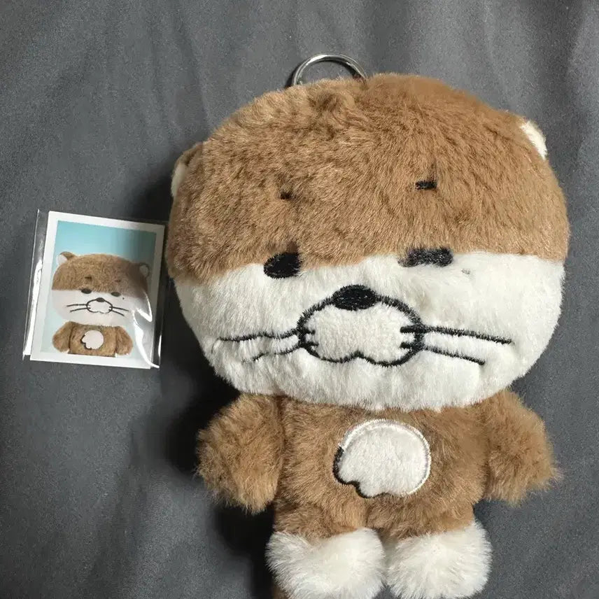 [BUNJANG] Bbunegdo Pop-up Plush Keyring 'Darling' Ver. 2 Unsealed / 쁘넥도 팝업 플러쉬 키링 2기 달링 달링이 키링 개봉 판매