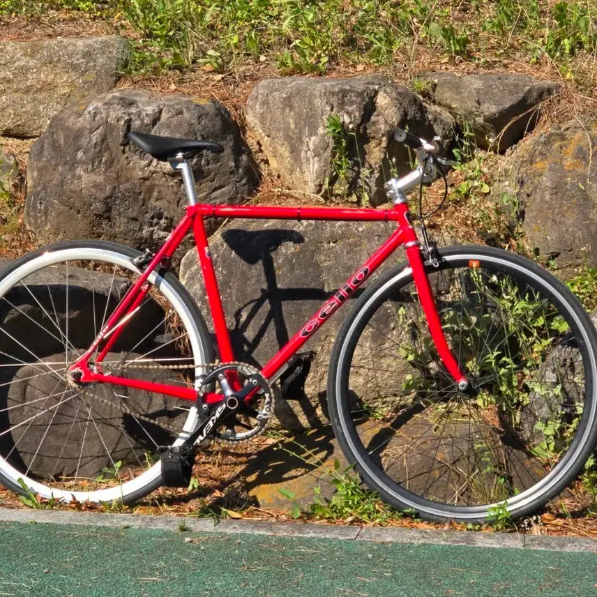 [BUNJANG] Cello 2001 Fixed Gear Bicycle (50cm) / 첼로 경륜 픽시 2001년식 판매 급처