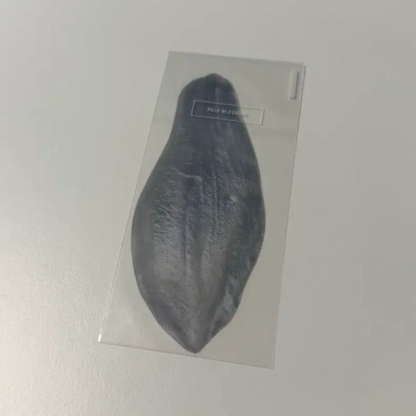 [BUNJANG] Lee Okto Magnolia Bookmark (Sealed) / 이옥토 작가님 목련 책갈피 양도