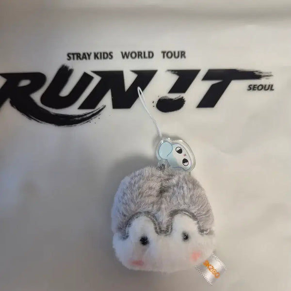 [BUNJANG] Stray Kids Run It Concert Wolf Chan Bang Chan Keyring + String Bag / 스트레이키즈 런잇 (Run it) 콘서트 울프찬 방찬 키링+스트링백