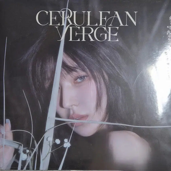 [BUNJANG] Wendy 3rd Album LP (Sealed) / [미개봉] 웬디 3집 LP