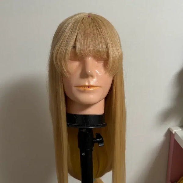 [BUNJANG] Gaguyajoo Princess Cosplay Costume + Wig Set L Size / 현물!! 초가구야공주 가구야 코스프레 의상+가발 세트 판매합니다