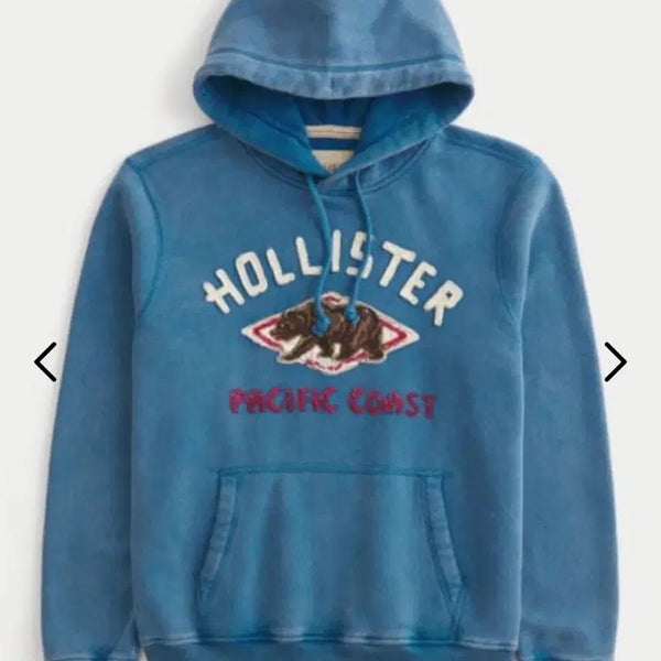 [BUNJANG] Hollister Hooded Sweatshirt L / 새상품 홀리스터 후드티 L