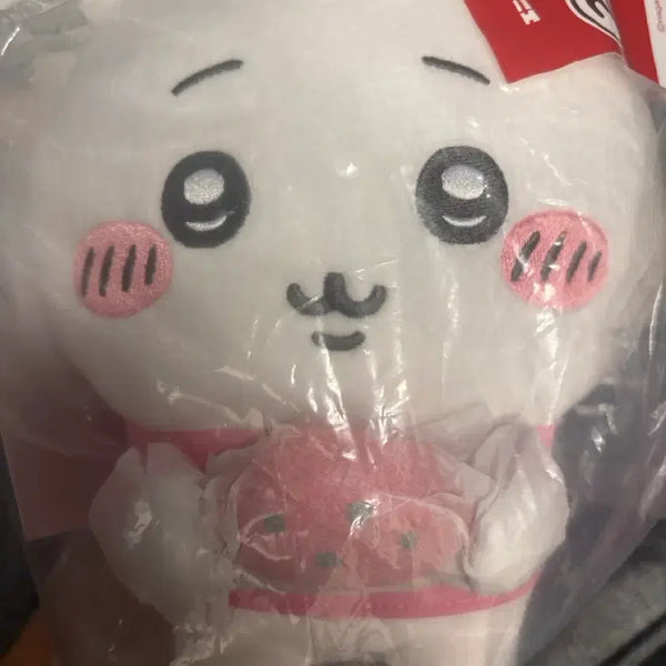 [BUNJANG] Chiikawa Animaid "Ichiban Kuji" B Prize / 치이카와 애니마이 쿠지 2등 팔아요