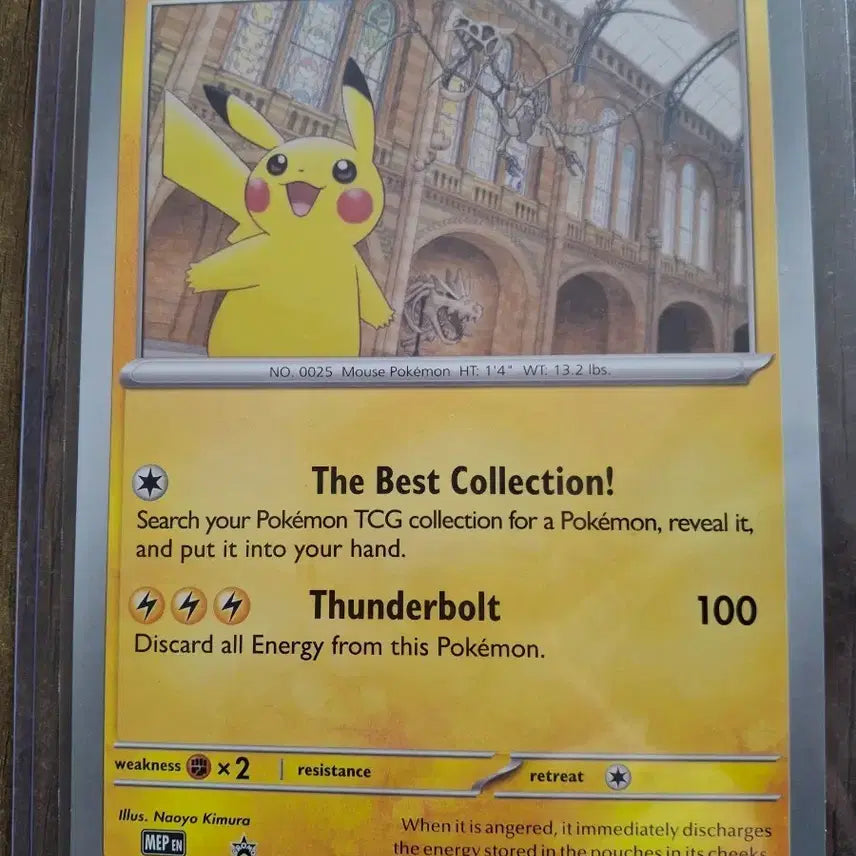 [BUNJANG] Pokemon Card Museum Pikachu Card / 포켓몬 카드 박물관피카츄