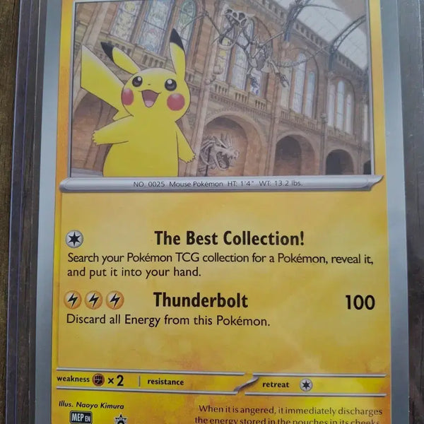 [BUNJANG] Pokemon Card Museum Pikachu Card / 포켓몬 카드 박물관피카츄