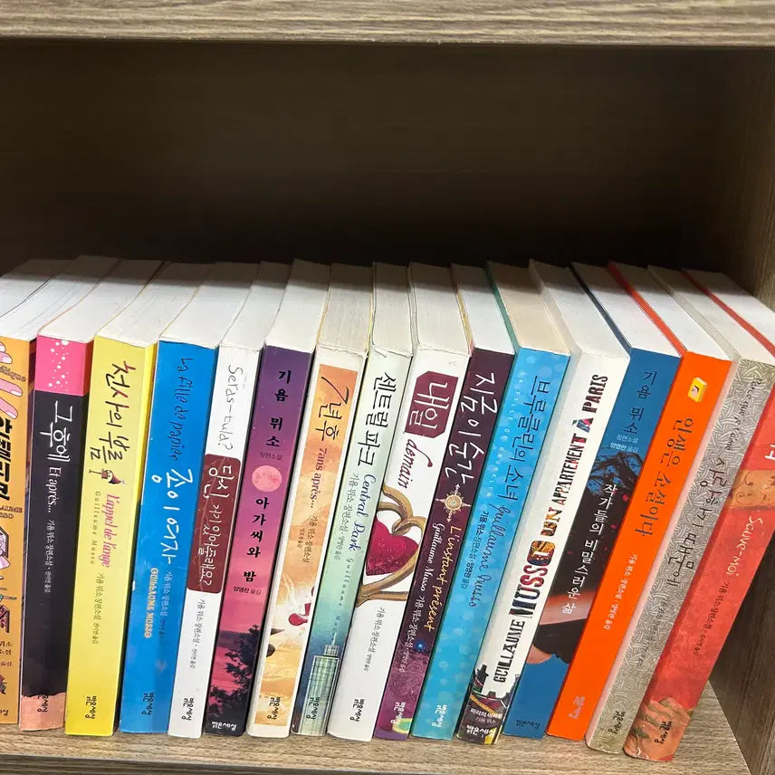 [BUNJANG] Guillaume Musso Novels (Per Book) / 기욤뮈소 소설 권당 3000원
